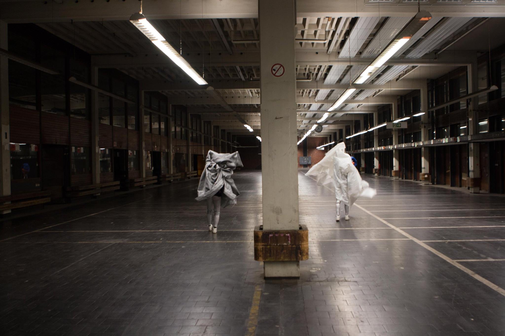 The last ideal Paradise